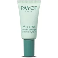 Pâte Grise Spéciale 5 Cica-Gel 15 ml