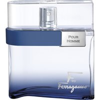 Salvatore Ferragamo F by Ferragamo Free Time pour Homme EDT 100ml