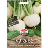Sperli Mairübe „Snowball“ – 1 Pkg Sperli Mairübe „Snowball“ – 1 Pkg