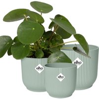 elho 3er-Set vibes fold rund Sorbet Grün, 14cm, 16cm, 18cm – 1 Set elho 3er-Set vibes fold rund Sorbet Grün, 14cm, 16cm, 18cm – 1 Set