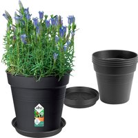 elho Green Basics Growpot Set Living Schwarz, Anzuchttopf 17cm + Untersetzer 14 cm – 1 Set elho Green Basics Growpot Set Living Schwarz, Anzuchttopf 17cm + Untersetzer 14 cm – 1 Set
