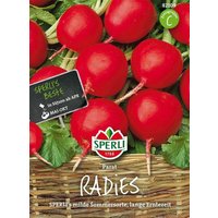 Sperli Radieschen „Parat“ – 1 Pkg Sperli Radieschen „Parat“ – 1 Pkg