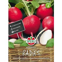 Sperli Radieschen „Riesenbutter“ – 1 Pkg Sperli Radieschen „Riesenbutter“ – 1 Pkg