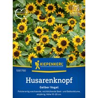 Kiepenkerl Husarenknopf Gelber Vogel – 1 Pkg Kiepenkerl Husarenknopf Gelber Vogel – 1 Pkg