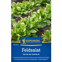 Kiepenkerl Feldsalat „Verte de Cambrai“ – 1 Pkg Kiepenkerl Feldsalat „Verte de Cambrai“ – 1 Pkg