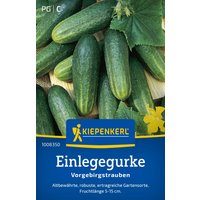 Kiepenkerl Einlegegurken „Vorgebirgstrauben“ – 1 Pkg Kiepenkerl Einlegegurken „Vorgebirgstrauben“ – 1 Pkg