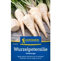 Kiepenkerl Halblange Wurzelpetersilie – 1 Pkg Kiepenkerl Halblange Wurzelpetersilie – 1 Pkg