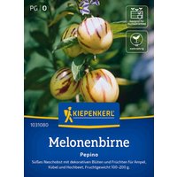 Kiepenkerl Melonenbirne „Pepino“ – 1 Pkg Kiepenkerl Melonenbirne „Pepino“ – 1 Pkg