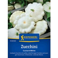 Kiepenkerl Zucchini „Custard White“ – 1 Pkg Kiepenkerl Zucchini „Custard White“ – 1 Pkg