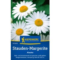 Kiepenkerl Stauden-Margerite Alaska – 1 Pkg Kiepenkerl Stauden-Margerite Alaska – 1 Pkg
