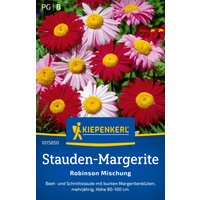 Kiepenkerl Stauden-Margerite Robinson Mischung – 1 Pkg Kiepenkerl Stauden-Margerite Robinson Mischung – 1 Pkg