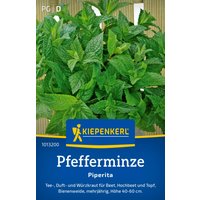 Kiepenkerl Pfefferminze Piperita – 1 Pkg Kiepenkerl Pfefferminze Piperita – 1 Pkg