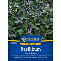 Kiepenkerl Basilikum Floral Spires – 1 Pkg Kiepenkerl Basilikum Floral Spires – 1 Pkg
