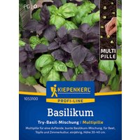 Kiepenkerl Basilikum Try-Basil-Mix – 1 Pkg Kiepenkerl Basilikum Try-Basil-Mix – 1 Pkg
