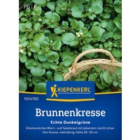 Kiepenkerl Brunnenkresse Echte Dunkelgrüne – 1 Pkg Kiepenkerl Brunnenkresse Echte Dunkelgrüne – 1 Pkg