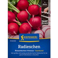 Kiepenkerl Radieschen Riesenbutter/Vitessa, Saatband – 1 Pkg Kiepenkerl Radieschen Riesenbutter/Vitessa, Saatband – 1 Pkg