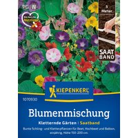 Kiepenkerl Blumenmischung Kletternde Gärten – 1 Pkg Kiepenkerl Blumenmischung Kletternde Gärten – 1 Pkg