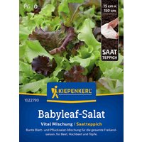 Kiepenkerl Babyleaf -Salat Vital Mischung – 1 Pkg Kiepenkerl Babyleaf -Salat Vital Mischung – 1 Pkg