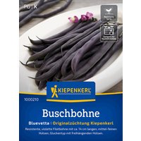 Kiepenkerl Buschbohne Bluevetta – 1 Pkg Kiepenkerl Buschbohne Bluevetta – 1 Pkg