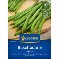 Kiepenkerl Buschbohne Duplika® – 1 Pkg Kiepenkerl Buschbohne Duplika® – 1 Pkg