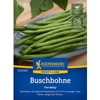 Kiepenkerl Buschbohne Faraday – 1 Pkg Kiepenkerl Buschbohne Faraday – 1 Pkg