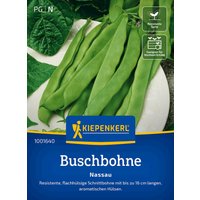 Kiepenkerl Buschbohne Nassau – 1 Pkg Kiepenkerl Buschbohne Nassau – 1 Pkg