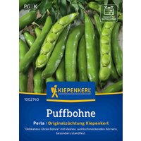 Kiepenkerl Puffbohne Perla – 1 Pkg Kiepenkerl Puffbohne Perla – 1 Pkg