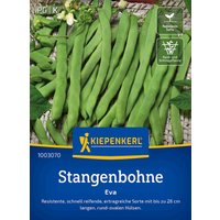 Kiepenkerl Stangenbohne Eva – 1 Pkg Kiepenkerl Stangenbohne Eva – 1 Pkg