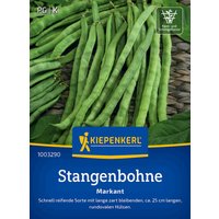 Kiepenkerl Stangenbohne Markant – 1 Pkg Kiepenkerl Stangenbohne Markant – 1 Pkg