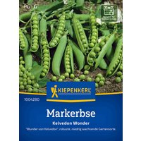 Kiepenkerl Markerbse Kelvedon Wonder – 1 Pkg Kiepenkerl Markerbse Kelvedon Wonder – 1 Pkg