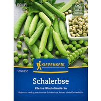 Kiepenkerl Schalerbse Kleine Rheinländerin – 1 Pkg Kiepenkerl Schalerbse Kleine Rheinländerin – 1 Pkg