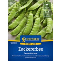 Kiepenkerl Zuckererbse Sweet Horizon – 1 Pkg Kiepenkerl Zuckererbse Sweet Horizon – 1 Pkg