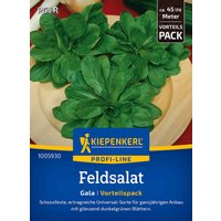 Kiepenkerl Feldsalat Gala, Vorteilspack – 1 Pkg Kiepenkerl Feldsalat Gala, Vorteilspack – 1 Pkg