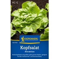 Kiepenkerl Kopfsalat Attraktion – 1 Pkg Kiepenkerl Kopfsalat Attraktion – 1 Pkg