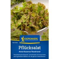 Kiepenkerl Pflücksalat „Amerikanischer brauner“ – 1 Pkg Kiepenkerl Pflücksalat „Amerikanischer brauner“ – 1 Pkg