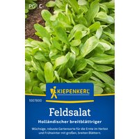 Kiepenkerl Feldsalat Holländischer breitblättriger – 1 Pkg Kiepenkerl Feldsalat Holländischer breitblättriger – 1 Pkg