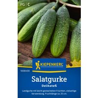 Kiepenkerl Salatgurken Delikateß – 1 Pkg Kiepenkerl Salatgurken Delikateß – 1 Pkg