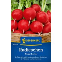 Kiepenkerl Radies „Riesenbutter“ – 1 Pkg Kiepenkerl Radies „Riesenbutter“ – 1 Pkg