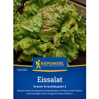 Kiepenkerl Eissalat „Grazer Krauthäuptel 2“ – 1 Pkg Kiepenkerl Eissalat „Grazer Krauthäuptel 2“ – 1 Pkg