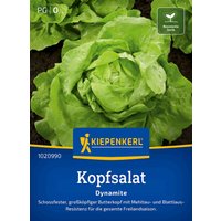 Kiepenkerl Kopfsalat Dynamite – 1 Pkg Kiepenkerl Kopfsalat Dynamite – 1 Pkg