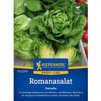 Kiepenkerl Romanasalat Xanadu – 1 Pkg Kiepenkerl Romanasalat Xanadu – 1 Pkg