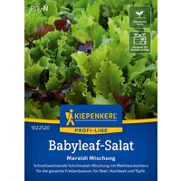 Kiepenkerl Babyleaf-Salat Maraldi Mischung – 1 Pkg Kiepenkerl Babyleaf-Salat Maraldi Mischung – 1 Pkg