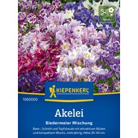 Kiepenkerl Akelei Biedermeier Mischung – 1 Pkg Kiepenkerl Akelei Biedermeier Mischung – 1 Pkg