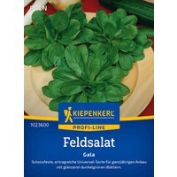 Kiepenkerl Feldsalat Gala – 1 Pkg Kiepenkerl Feldsalat Gala – 1 Pkg