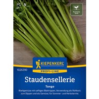 Kiepenkerl Staudensellerie Tango – 1 Pkg Kiepenkerl Staudensellerie Tango – 1 Pkg