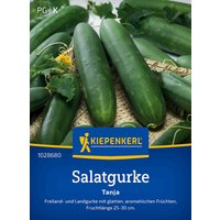 Kiepenkerl Salatgurken Tanja – 1 Pkg Kiepenkerl Salatgurken Tanja – 1 Pkg