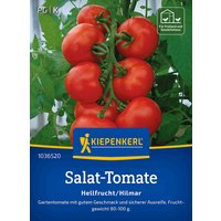 Kiepenkerl Salat-Tomate Hellfrucht / Hilmar – 1 Pkg Kiepenkerl Salat-Tomate Hellfrucht / Hilmar – 1 Pkg