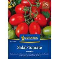 Kiepenkerl Salat-Tomate Roma VF – 1 Pkg Kiepenkerl Salat-Tomate Roma VF – 1 Pkg