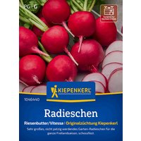 Kiepenkerl Radieschen Riesenbutter/Vitessa – 1 Pkg Kiepenkerl Radieschen Riesenbutter/Vitessa – 1 Pkg