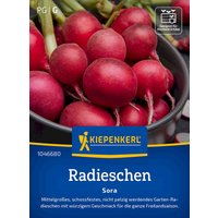 Kiepenkerl Radieschen Sora – 1 Pkg Kiepenkerl Radieschen Sora – 1 Pkg